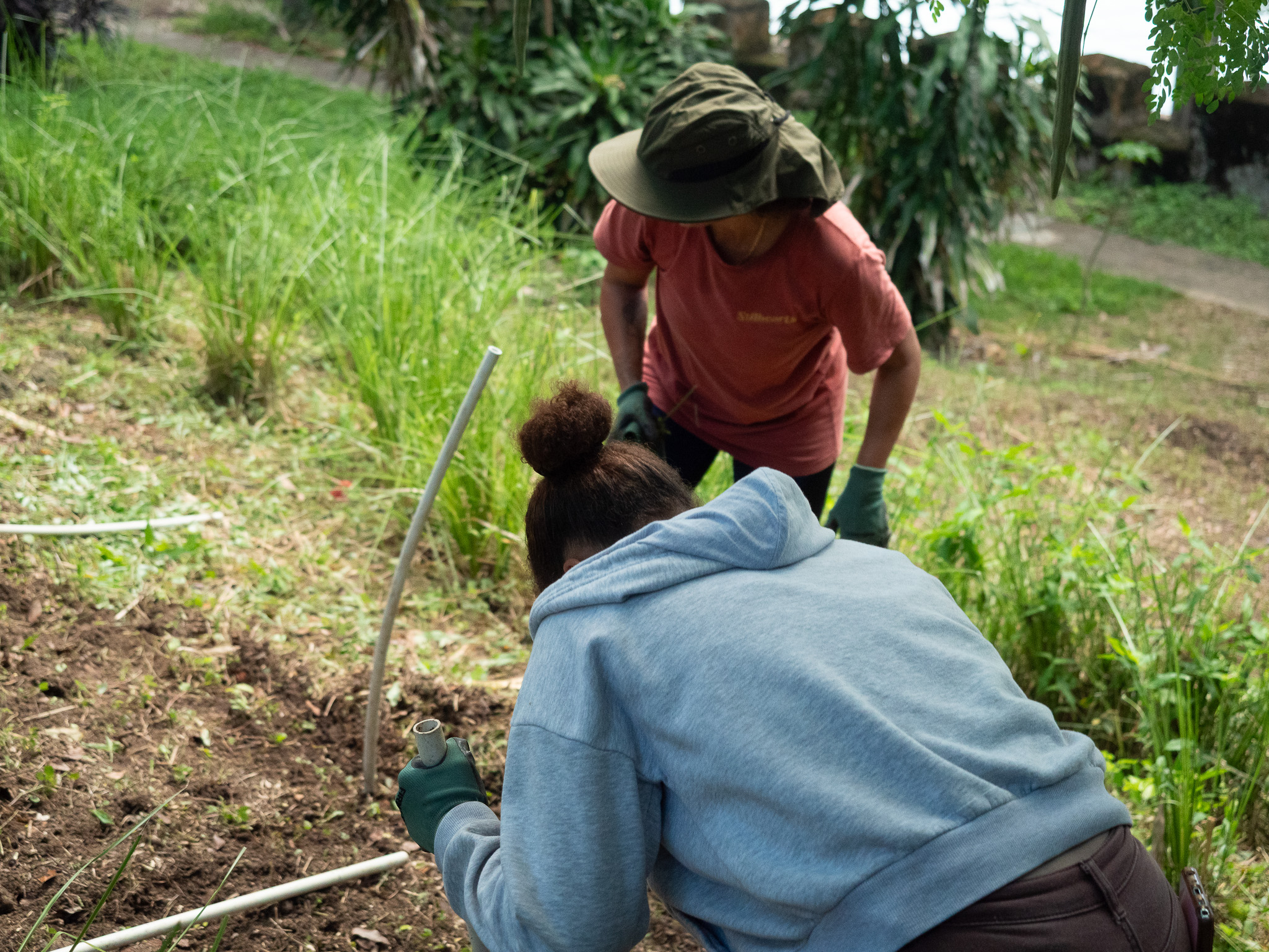 Voluntarios