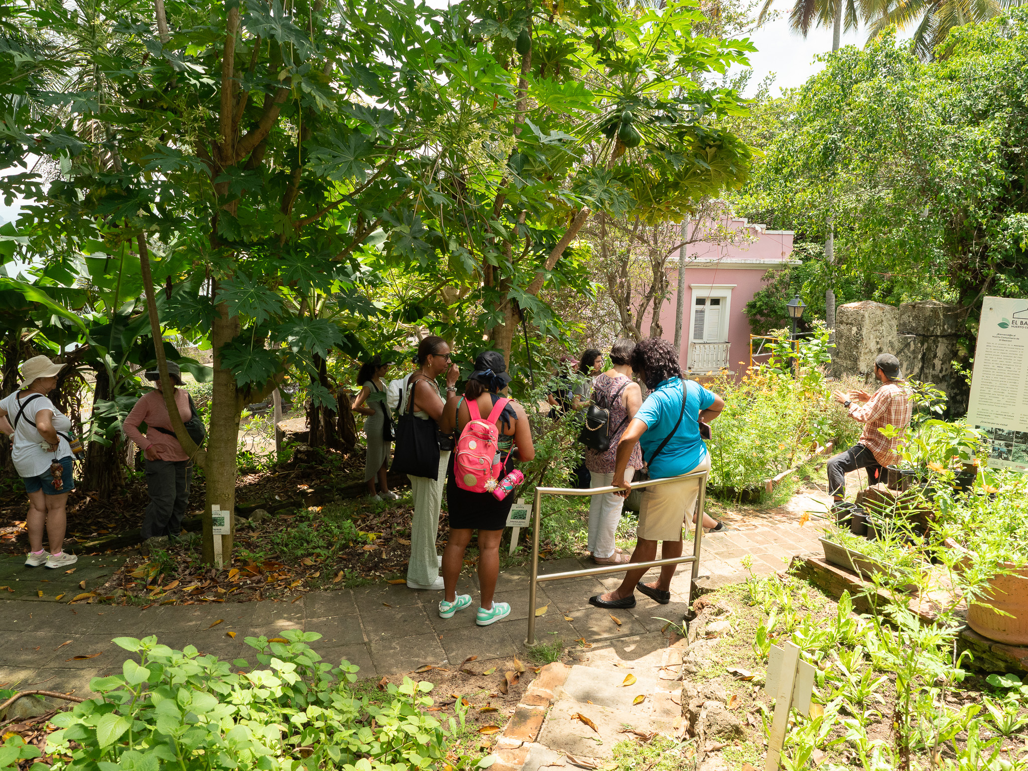 Voluntarios