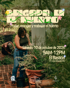 BRIGADA 6 PEQUEÑO